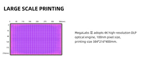 Fast 3D DLP Printer for Flexible Material Emake3D MegaLabs II Printer